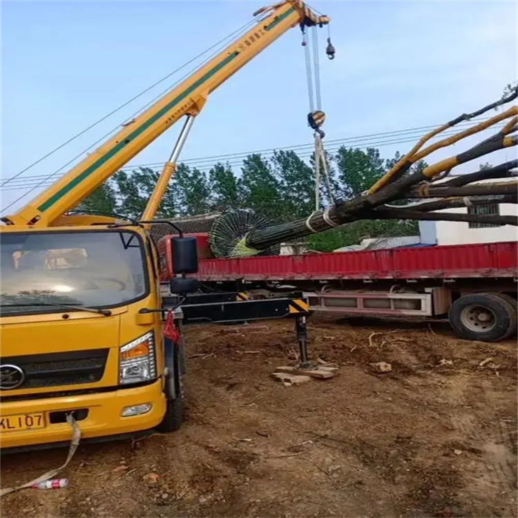 佛子山镇100吨吊车租赁费用怎么算？3大关键因素+省钱技巧全解析